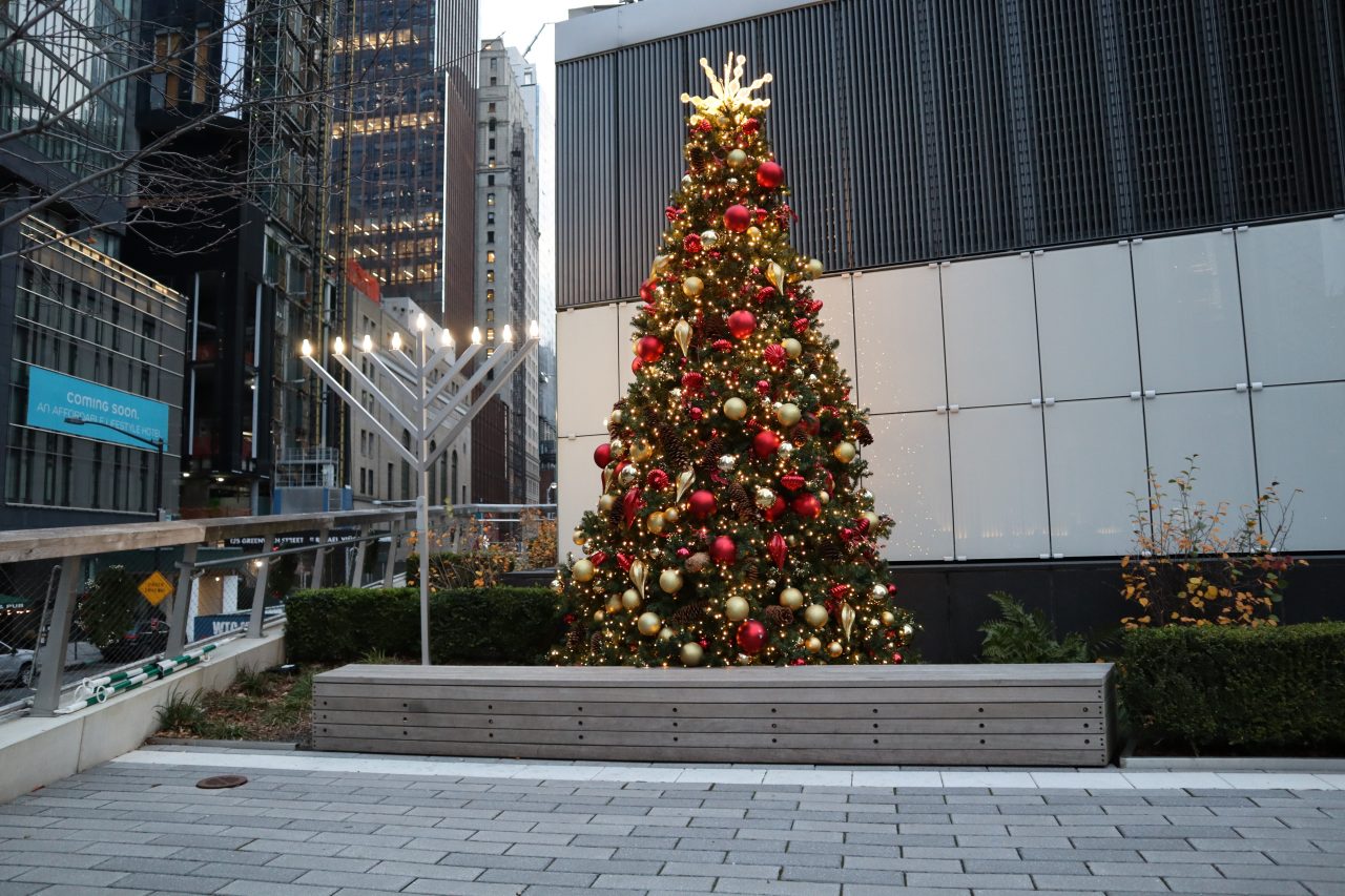 holiday decorations in park