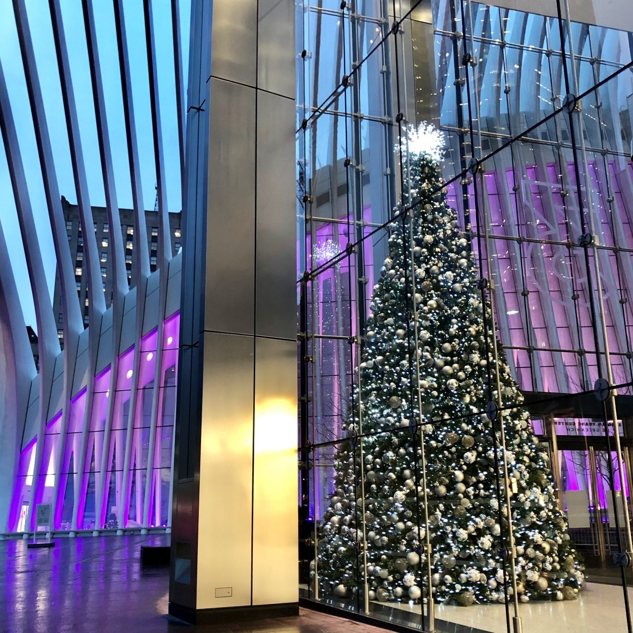 christmas tree in window of office building